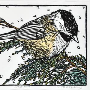 Black-Capped Chickadee.jpg